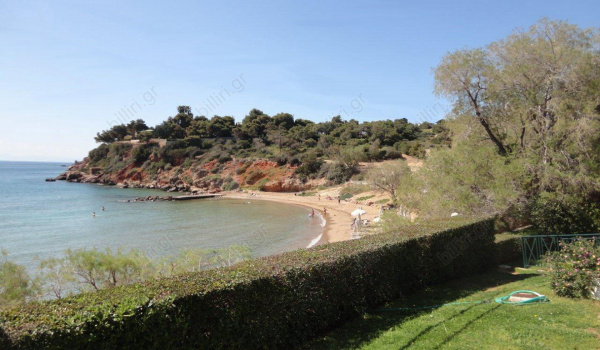 Κήπος, παραλία - Garden, beach